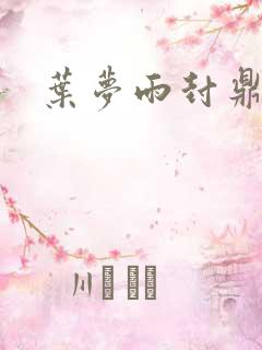 叶梦雨封鼎小说