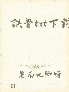 铁骨txt下载