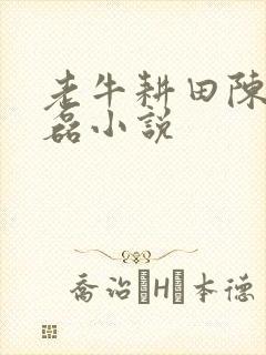 老牛耕田陈雪王磊小说