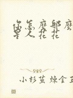 你怎么那么美汪星人花花