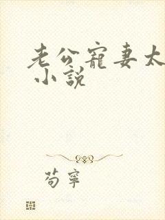 老公宠妻太甜蜜 小说