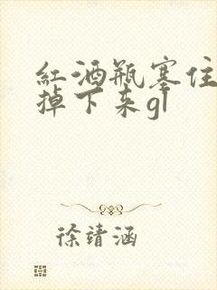 红酒瓶塞住不准掉下来gl