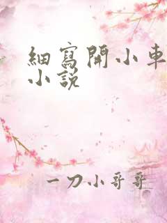 细写开小车车的小说