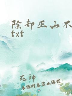 除却巫山不是云txt