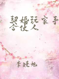 契婚玩家手册之合伙人