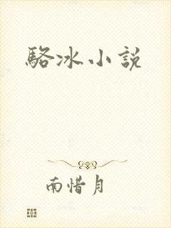 骆冰小说