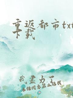 重返都市txt下载