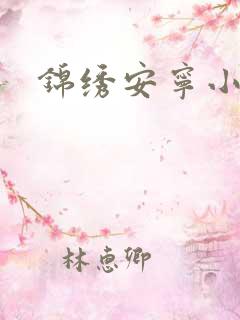 锦绣安宁小说