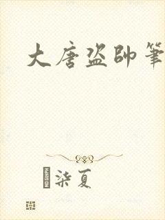 大唐盗帅笔趣阁