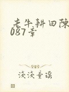 老牛耕田陈雪1087章