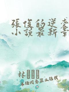 张俊的逆袭之路小说最新章节