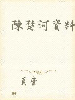 陈楚河资料