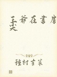 王爷在书房含乳尖