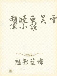 赵晓东吴雪晴郑伟小说