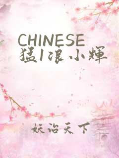CHINESE猛1浪小辉