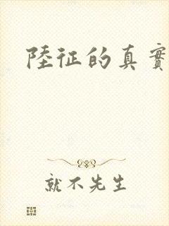 陆征的真实身份