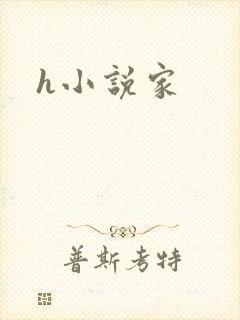 h小说家