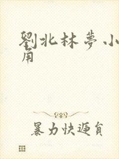 刘北林梦小说主角