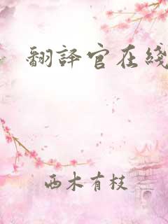 翻译官在线阅读