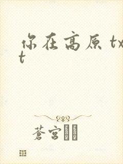 你在高原 txt