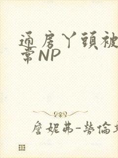 通房丫头被肉日常NP