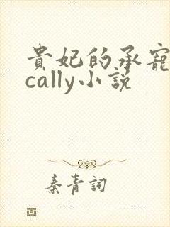 贵妃的承宠日常cally小说