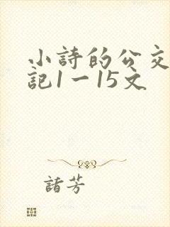 小诗的公交车日记1一15文