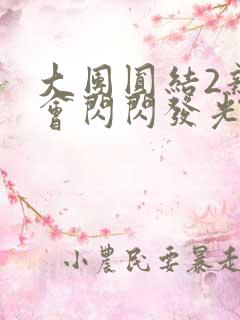 大团圆结2亲情会闪闪发光亲情会2