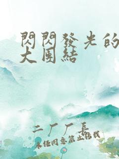 闪闪发光的小说大团结