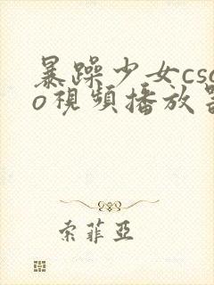 暴躁少女csgo视频播放器推荐