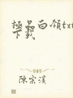 极品白领txt下载