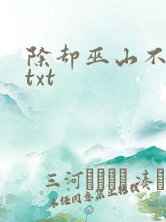 除却巫山不是云txt