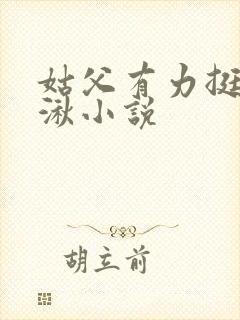 姑父有力挺送徐湫小说