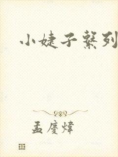 小婕子系列小说