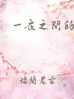 一夜之间的天才