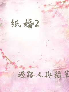 纸婚2