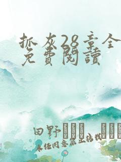 抓灰28章全部免费阅读