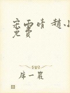 宋雨晴 赵小刚免费