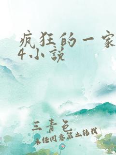 疯狂的一家ps4小说