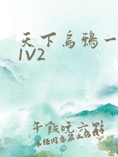 天下乌鸦一般黑1V2