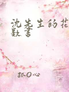 沈先生的花式调数书