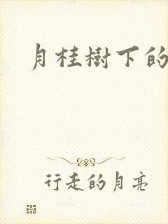 月桂树下的王子