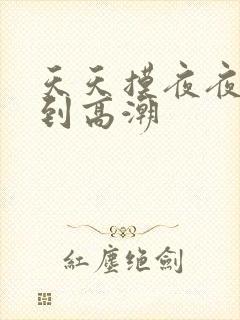 天天摸夜夜摸摸到高潮