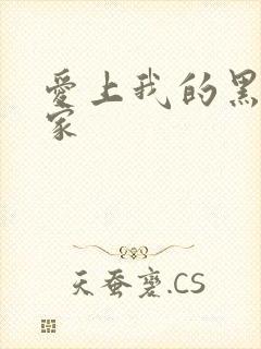 爱上我的黑道冤家