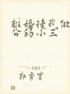 离婚后我做了老公的小三