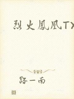 烈火凤凰TXT