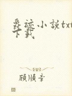 爵迹小说txt下载