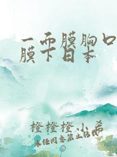 一面膜胸口一面膜下日本