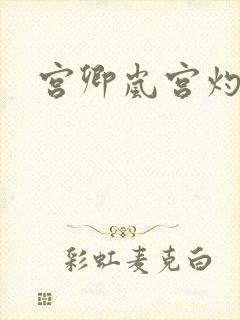 宫卿岚宫灼小说