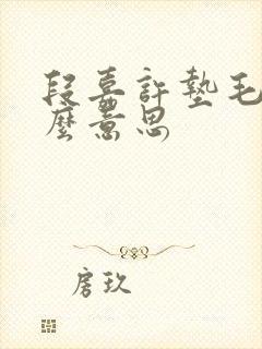 段嘉许垫毛巾什么意思